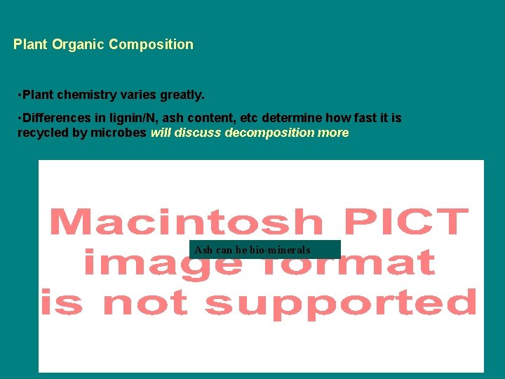 Plant Organic Composition • Plant chemistry varies greatly. • Differences in lignin/N, ash content,