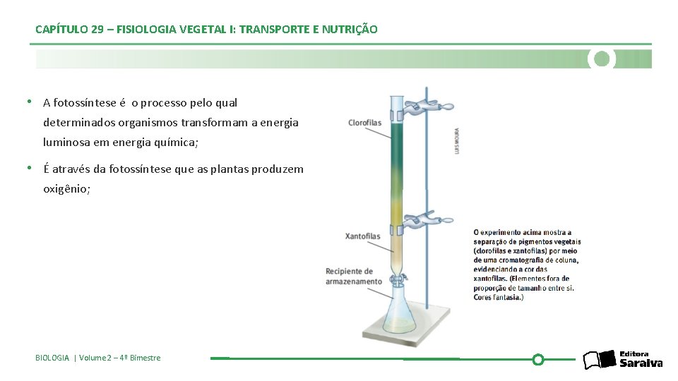 CAPÍTULO 29 – FISIOLOGIA VEGETAL I: TRANSPORTE E NUTRIÇÃO • A fotossíntese é o