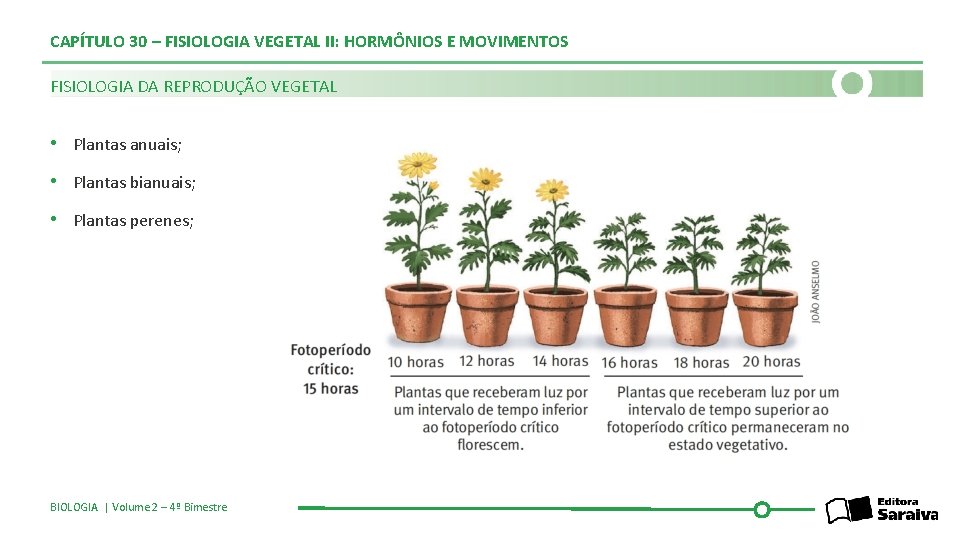 CAPÍTULO 30 – FISIOLOGIA VEGETAL II: HORMÔNIOS E MOVIMENTOS FISIOLOGIA DA REPRODUÇÃO VEGETAL •