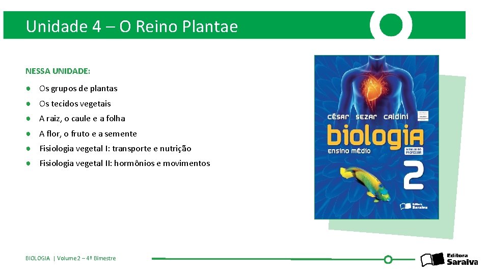 Unidade 4 – O Reino Plantae NESSA UNIDADE: ● Os grupos de plantas ●