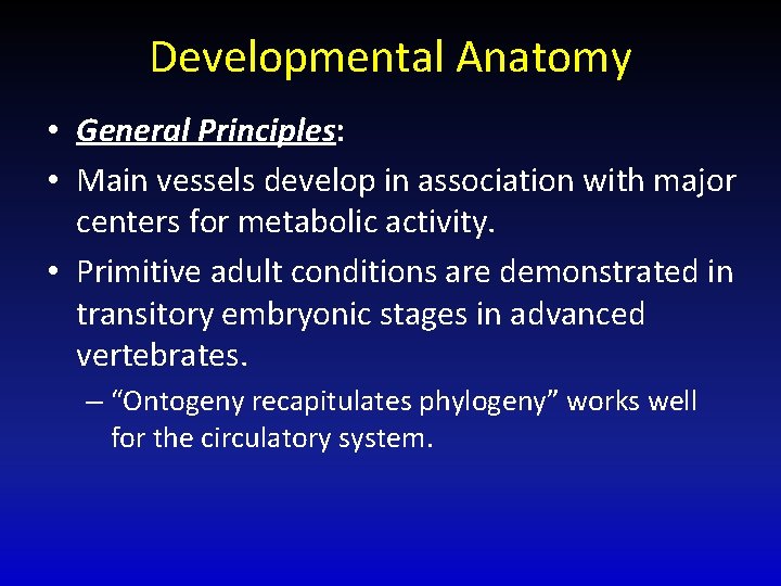 Developmental Anatomy • General Principles: • Main vessels develop in association with major centers