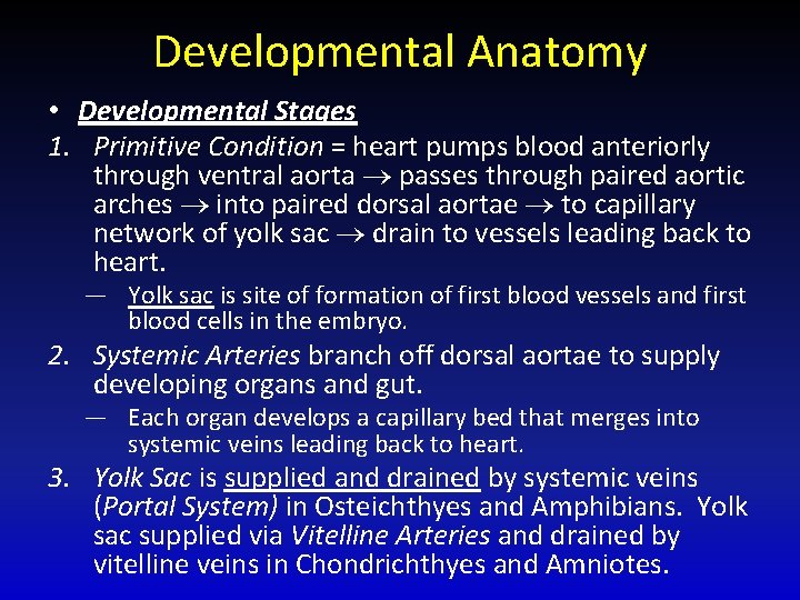 Developmental Anatomy • Developmental Stages 1. Primitive Condition = heart pumps blood anteriorly through
