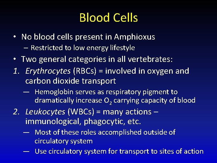 Blood Cells • No blood cells present in Amphioxus – Restricted to low energy