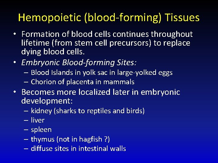 Hemopoietic (blood-forming) Tissues • Formation of blood cells continues throughout lifetime (from stem cell