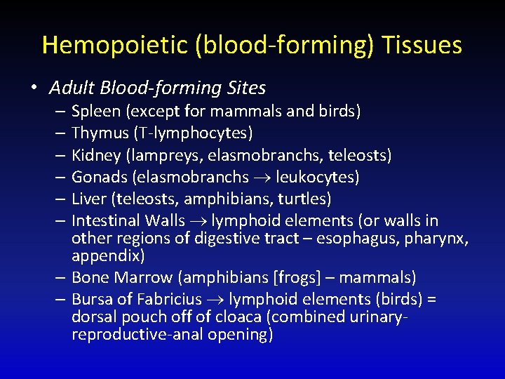 Hemopoietic (blood-forming) Tissues • Adult Blood-forming Sites – Spleen (except for mammals and birds)