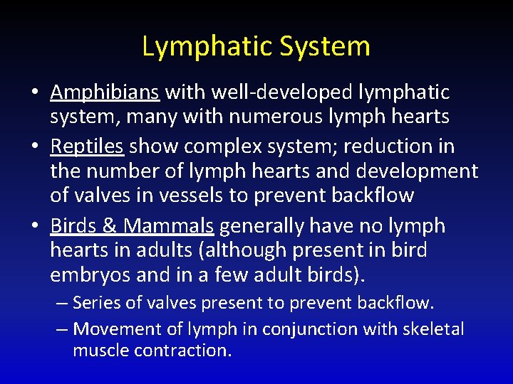 Lymphatic System • Amphibians with well-developed lymphatic system, many with numerous lymph hearts •