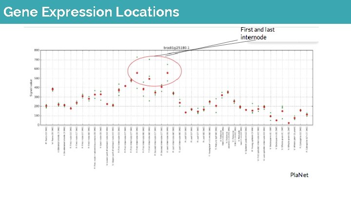 Gene Expression Locations 