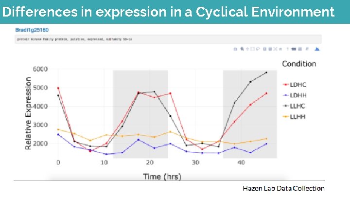 Differences in expression in a Cyclical Environment 