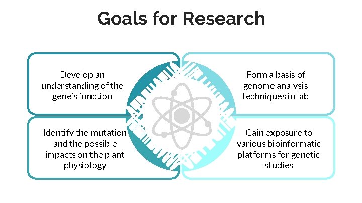 Goals for Research Develop an understanding of the gene’s function Identify the mutation and