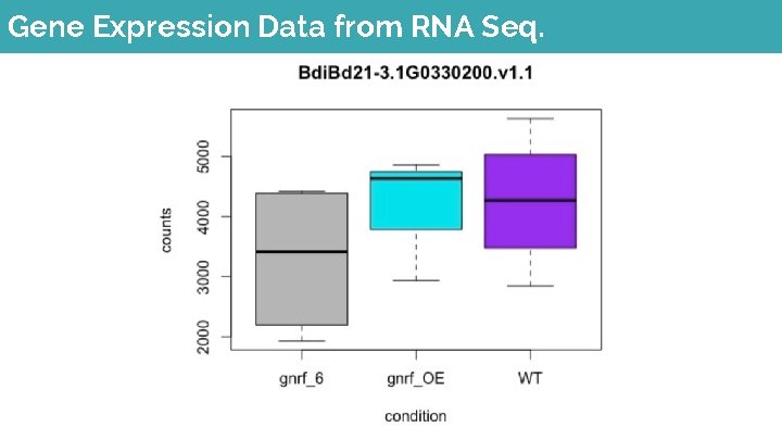 Gene Expression Data from RNA Seq. 