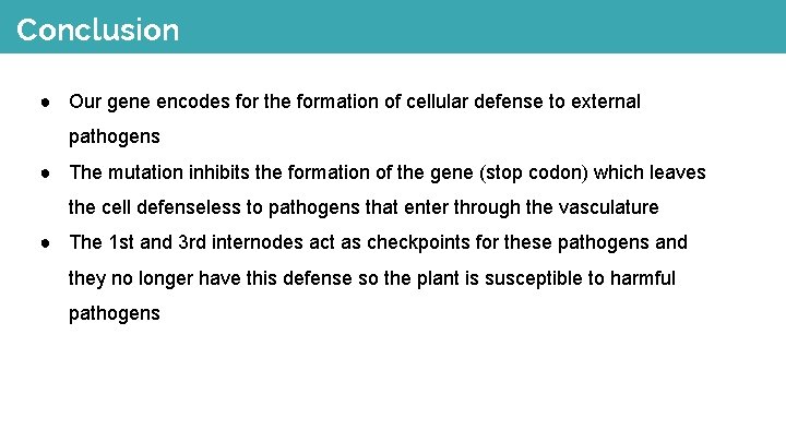 Conclusion ● Our gene encodes for the formation of cellular defense to external pathogens