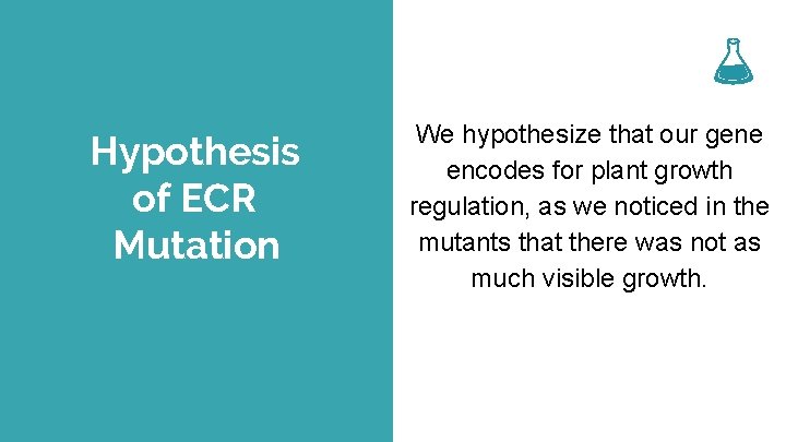 Hypothesis of ECR Mutation You can simply impress your audience and add a unique