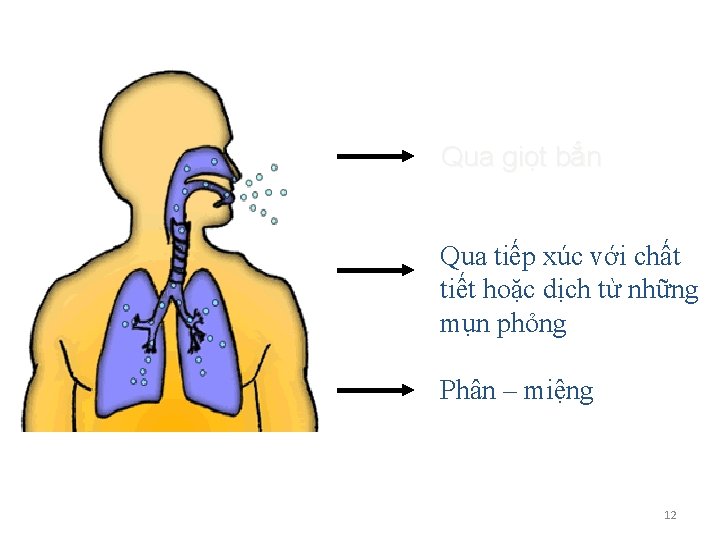 Qua giọt bắn Qua tiếp xúc với chất tiết hoặc dịch từ những mụn