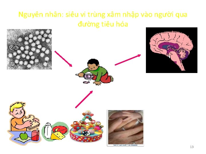 Nguyên nhân: siêu vi trùng xâm nhập vào người qua đường tiêu hóa sieâu