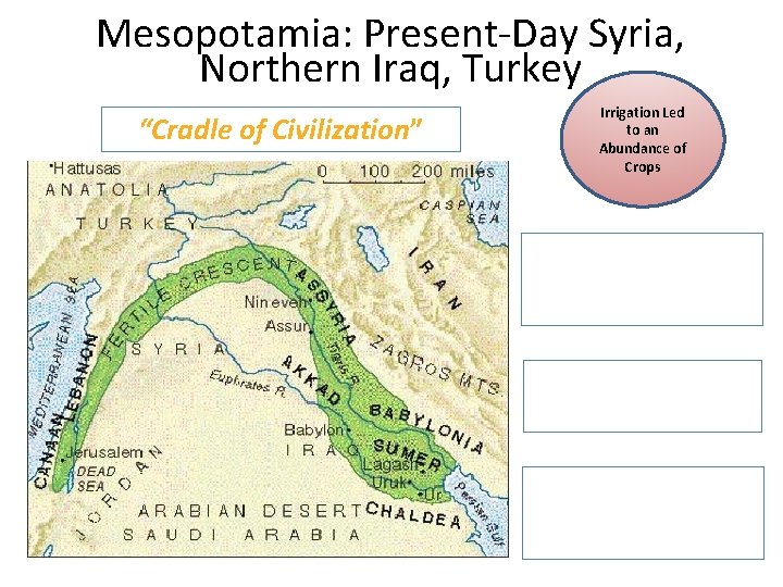 Mesopotamia: Present-Day Syria, Northern Iraq, Turkey “Cradle of Civilization” Irrigation Led to an Abundance