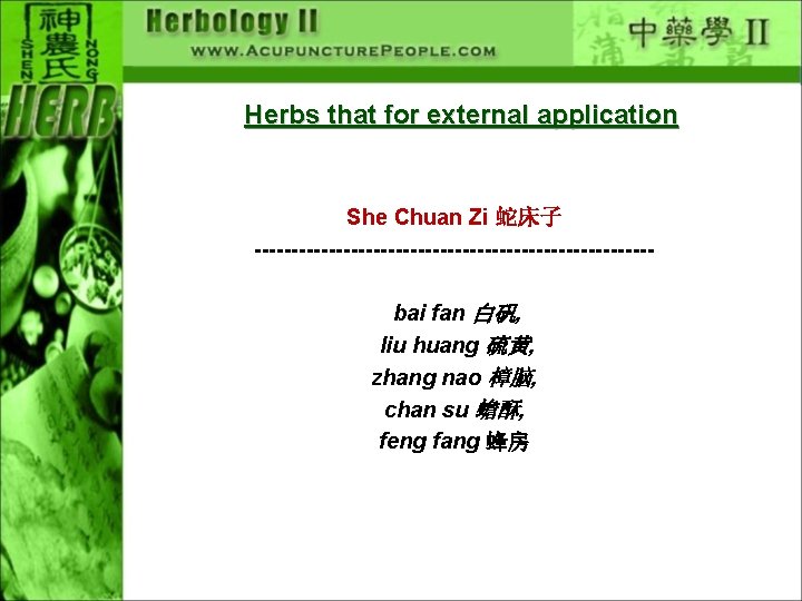 Herbs that for external application She Chuan Zi 蛇床子 ---------------------------bai fan 白矾, liu huang