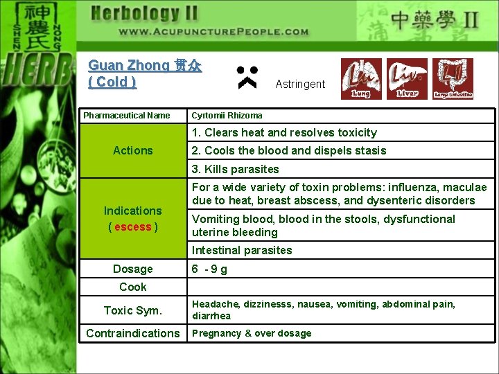 Guan Zhong 贯众 ( Cold ) Pharmaceutical Name Astringent Cyrtomii Rhizoma 1. Clears heat