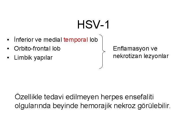 HSV-1 • İnferior ve medial temporal lob • Orbito-frontal lob • Limbik yapılar Enflamasyon