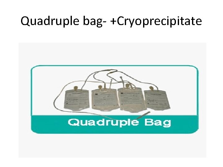 Quadruple bag- +Cryoprecipitate 