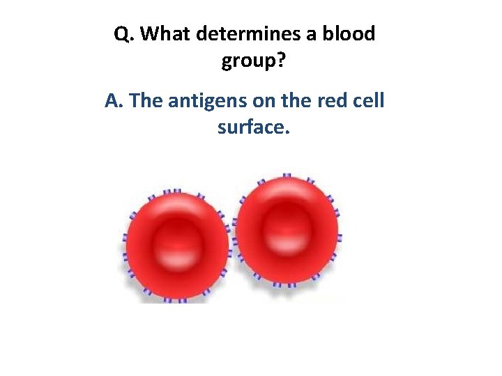 Q. What determines a blood group? A. The antigens on the red cell surface.