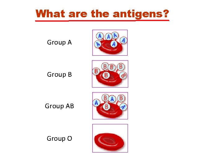 What are the antigens? Group A Group B Group AB Group O 