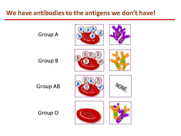 We have antibodies to the antigens we don’t have! Group A Group B Group