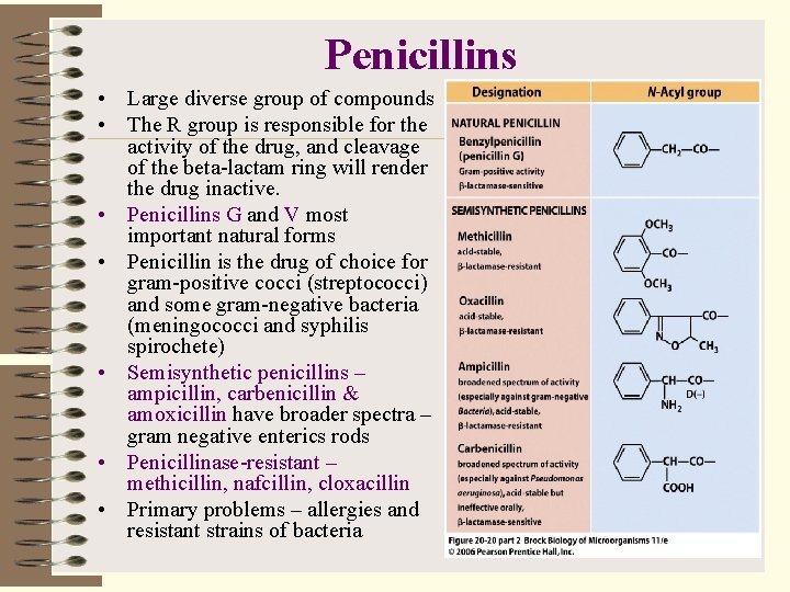 Penicillins • Large diverse group of compounds • The R group is responsible for