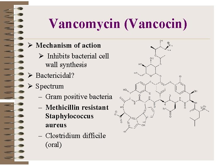 Vancomycin (Vancocin) Ø Mechanism of action Ø Inhibits bacterial cell wall synthesis Ø Bactericidal?