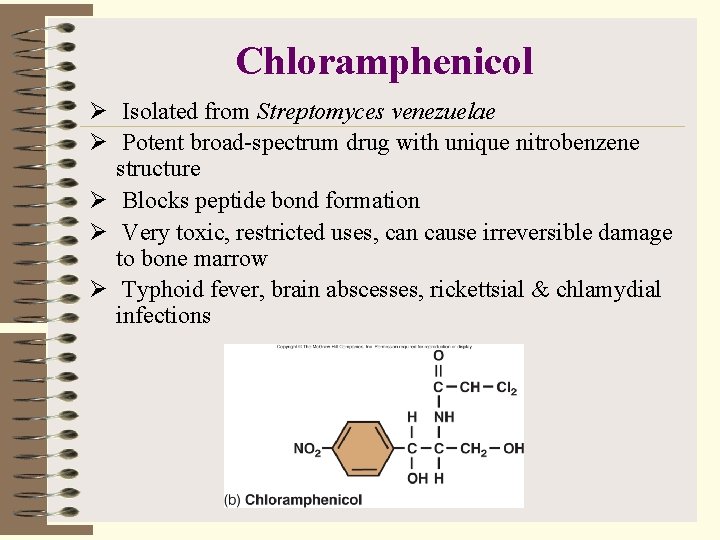 Chloramphenicol Ø Isolated from Streptomyces venezuelae Ø Potent broad-spectrum drug with unique nitrobenzene structure