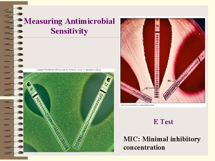 Measuring Antimicrobial Sensitivity E Test MIC: Minimal inhibitory concentration 