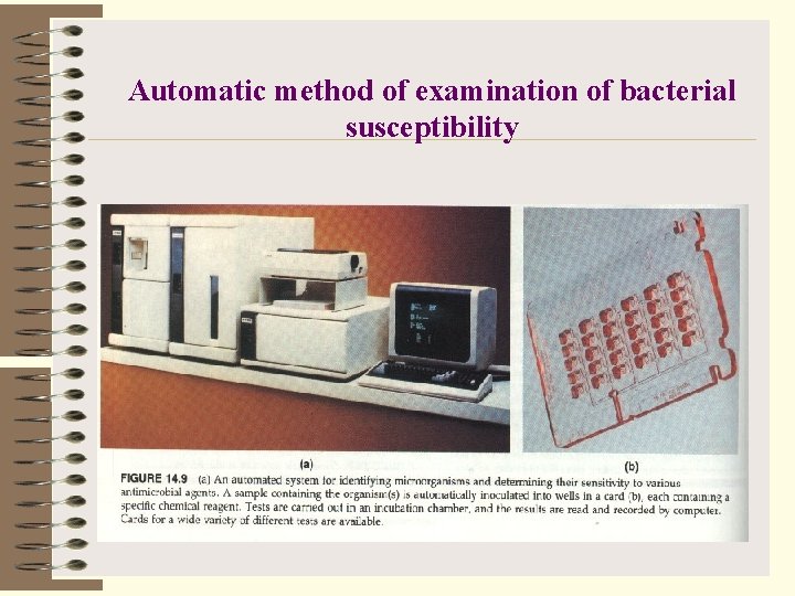 Automatic method of examination of bacterial susceptibility 