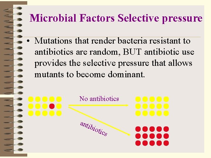 Microbial Factors Selective pressure • Mutations that render bacteria resistant to antibiotics are random,