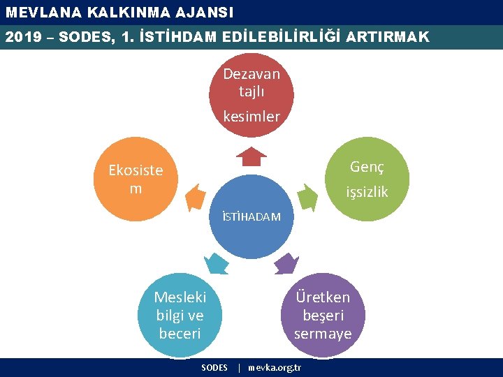 MEVLANA KALKINMA AJANSI 2019 – SODES, 1. İSTİHDAM EDİLEBİLİRLİĞİ ARTIRMAK Dezavan tajlı kesimler Genç