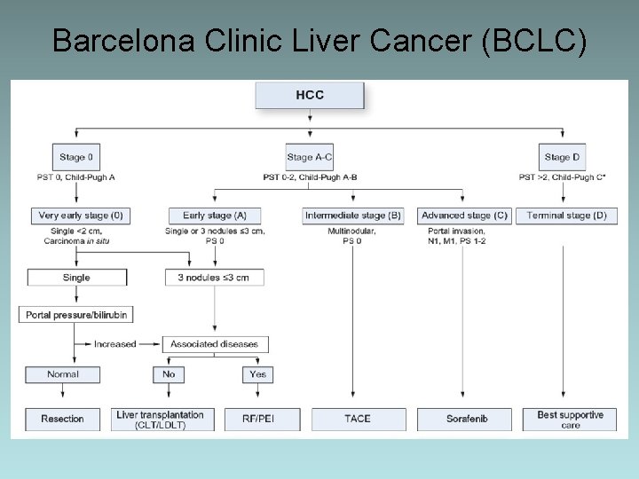 Barcelona Clinic Liver Cancer (BCLC) 
