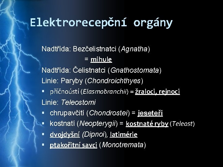 Elektrorecepční orgány Nadtřída: Bezčelistnatci (Agnatha) = mihule Nadtřída: Čelistnatci (Gnathostomata) Linie: Paryby (Chondroichthyes) příčnoústí