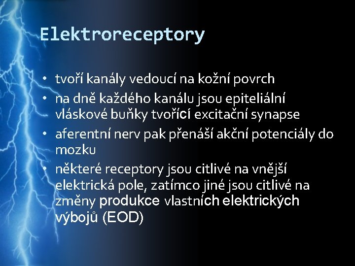 Elektroreceptory • tvoří kanály vedoucí na kožní povrch • na dně každého kanálu jsou