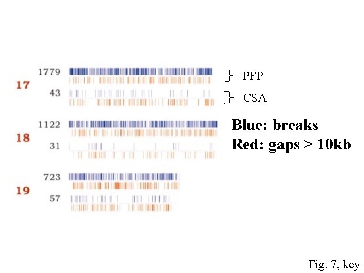 PFP CSA Blue: breaks Red: gaps > 10 kb Fig. 7, key 