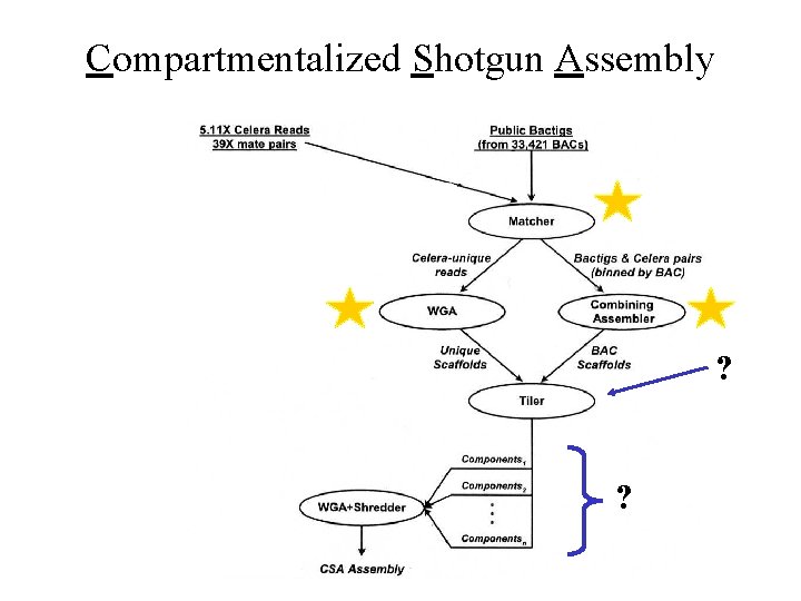 Compartmentalized Shotgun Assembly ? ? 