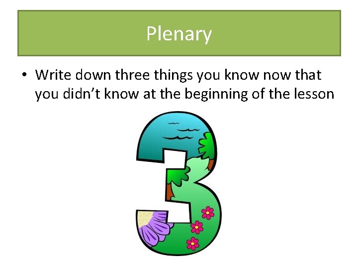 Plenary • Write down three things you know that you didn’t know at the