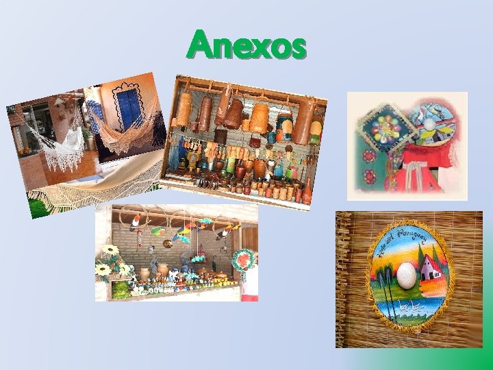 Anexos 