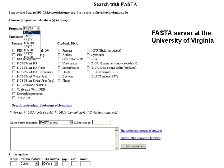 FASTA server at the University of Virginia 