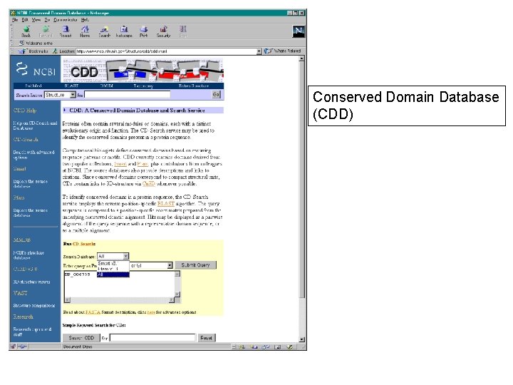 Conserved Domain Database (CDD) 