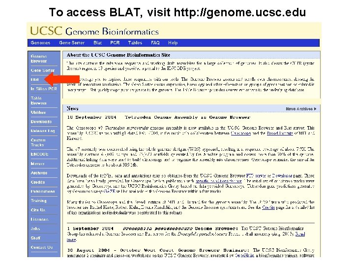 To access BLAT, visit http: //genome. ucsc. edu 