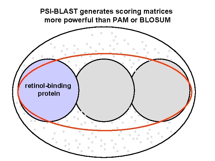 PSI-BLAST generates scoring matrices more powerful than PAM or BLOSUM retinol-binding protein 