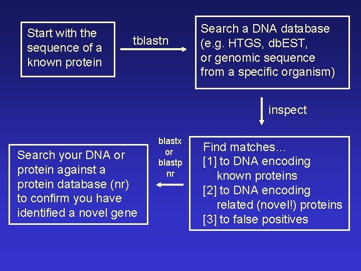 Start with the sequence of a known protein tblastn Search a DNA database (e.