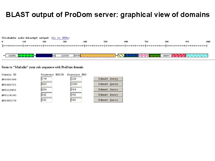 BLAST output of Pro. Dom server: graphical view of domains 
