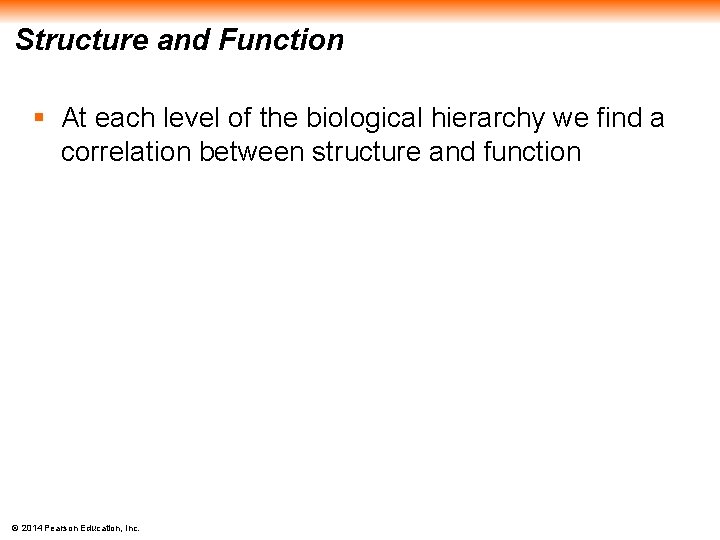 Structure and Function § At each level of the biological hierarchy we find a
