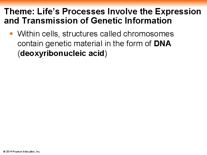 Theme: Life’s Processes Involve the Expression and Transmission of Genetic Information § Within cells,