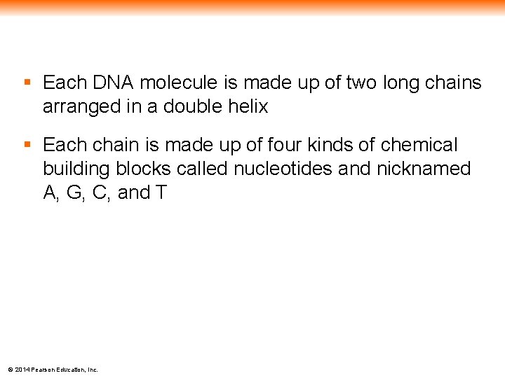 § Each DNA molecule is made up of two long chains arranged in a