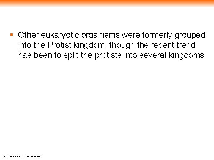 § Other eukaryotic organisms were formerly grouped into the Protist kingdom, though the recent